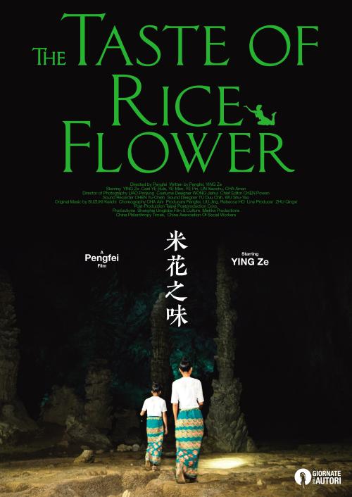怎么办假日本驾驶证
